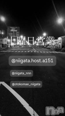 ��Į�ۥ��ȡ��ܡ������С�A151(�����������ݥ���) �褦(18)��7��26���̥�֥�������������