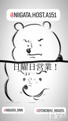 ��Į�ۥ��ȡ��ܡ������С�A151(�����������ݥ���) �褦(18)��7��27���̥�֥�������������