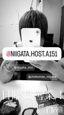 ��Į�ۥ��ȡ��ܡ������С�A151(�����������ݥ���) �褦(18)��8��3���̥�֥�������������