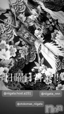 ��Į�ۥ��ȡ��ܡ������С�A151(�����������ݥ���) �褦(18)��8��10���̥�֥�������������