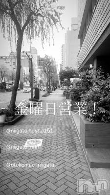 ��Į�ۥ��ȡ��ܡ������С�A151(�����������ݥ���) �褦(18)��8��22���̥�֥����ֶ�������