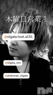 ��Į�ۥ��ȡ��ܡ������С�A151(�����������ݥ���) �褦(18)��9��4���̥�֥�������������