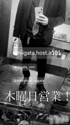 ��Į�ۥ��ȡ��ܡ������С�A151(�����������ݥ���) �褦(18)��9��11���̥�֥�������������