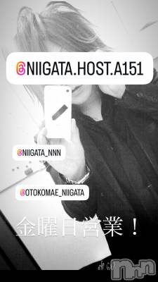 ��Į�ۥ��ȡ��ܡ������С�A151(�����������ݥ���) �褦(18)��9��12���̥�֥����ֶ�������