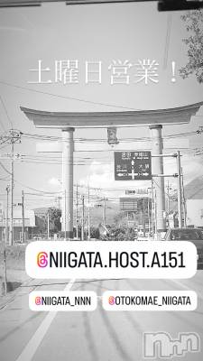 ��Į�ۥ��ȡ��ܡ������С�A151(�����������ݥ���) �褦(18)��9��13���̥�֥�������������