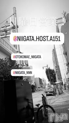 ��Į�ۥ��ȡ��ܡ������С�A151(�����������ݥ���) �褦(18)��9��14���̥�֥�������������