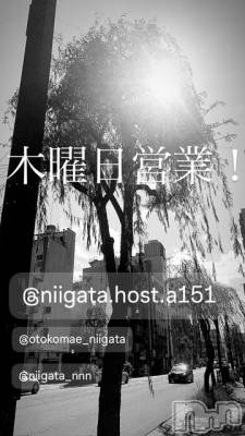 ��Į�ۥ��ȡ��ܡ������С�A151(�����������ݥ���) �褦(18)��9��18���̥�֥�������������