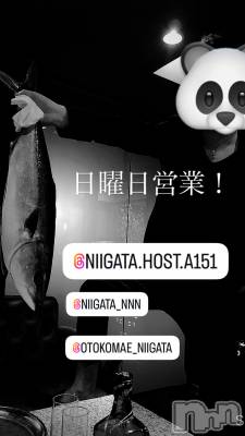 ��Į�ۥ��ȡ��ܡ������С�A151(�����������ݥ���) �褦(18)��9��21���̥�֥�������������