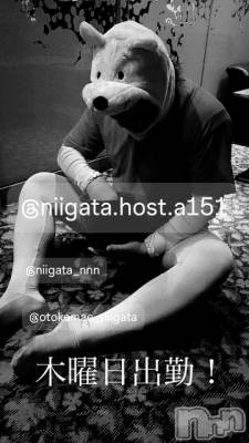 ��Į�ۥ��ȡ��ܡ������С�A151(�����������ݥ���) �褦(18)��9��25���̥�֥�������������