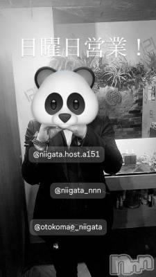 ��Į�ۥ��ȡ��ܡ������С�A151(�����������ݥ���) �褦(18)��10��5���̥�֥�������������