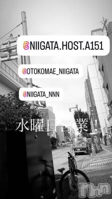 ��Į�ۥ��ȡ��ܡ������С�A151(�����������ݥ���) �褦(18)��10��8���̥�֥����ֿ�������