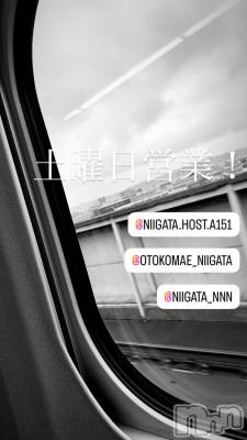 ��Į�ۥ��ȡ��ܡ������С�A151(�����������ݥ���) �褦(18)��10��11���̥�֥�������������