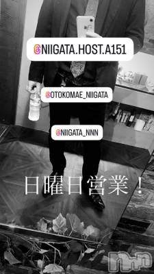 ��Į�ۥ��ȡ��ܡ������С�A151(�����������ݥ���) �褦(18)��10��12���̥�֥�������������