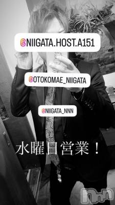 ��Į�ۥ��ȡ��ܡ������С�A151(�����������ݥ���) �褦(18)��10��15���̥�֥����ֿ�������