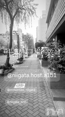 ��Į�ۥ��ȡ��ܡ������С�A151(�����������ݥ���) �褦(18)��10��18���̥�֥�������������