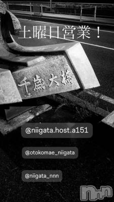 ��Į�ۥ��ȡ��ܡ������С�A151(�����������ݥ���) �褦(18)��11��8���̥�֥�������������