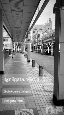 ��Į�ۥ��ȡ��ܡ������С�A151(�����������ݥ���) �褦(18)��11��10���̥�֥����ַ�������