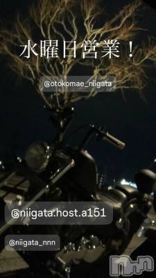 ��Į�ۥ��ȡ��ܡ������С�A151(�����������ݥ���) �褦(18)��11��12���̥�֥����ֿ�������