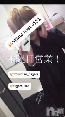 ��Į�ۥ��ȡ��ܡ������С�A151(�����������ݥ���) �褦(18)��11��13���̥�֥�������������