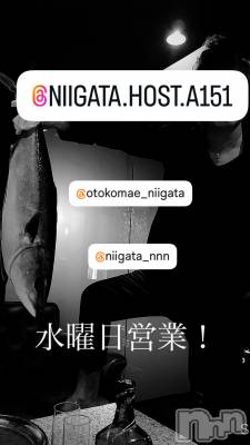 ��Į�ۥ��ȡ��ܡ������С�A151(�����������ݥ���) �褦(18)��11��19���̥�֥����ֿ�������