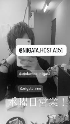 ��Į�ۥ��ȡ��ܡ������С�A151(�����������ݥ���) �褦(18)��11��26���̥�֥����ֿ�������