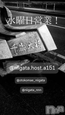 ��Į�ۥ��ȡ��ܡ������С�A151(�����������ݥ���) �褦(18)��12��24���̥�֥����ֿ�������