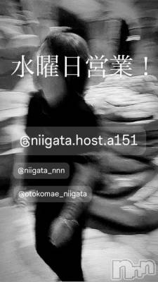 ��Į�ۥ��ȡ��ܡ������С�A151(�����������ݥ���) �褦(18)��1��7���̥�֥����ֿ�������