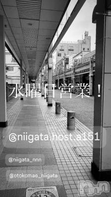 ��Į�ۥ��ȡ��ܡ������С�A151(�����������ݥ���) �褦(18)��1��14���̥�֥����ֿ�������