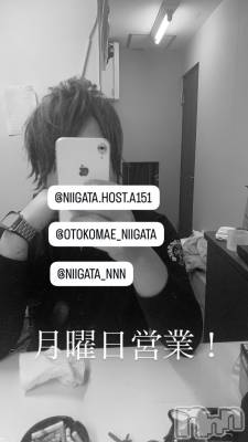 ��Į�ۥ��ȡ��ܡ������С�A151(�����������ݥ���) �褦(18)��1��19���̥�֥����ַ�������