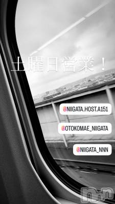 ��Į�ۥ��ȡ��ܡ������С�A151(�����������ݥ���) �褦(18)��1��24���̥�֥�������������