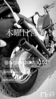 ��Į�ۥ��ȡ��ܡ������С�A151(�����������ݥ���) �褦(18)��1��29���̥�֥�������������