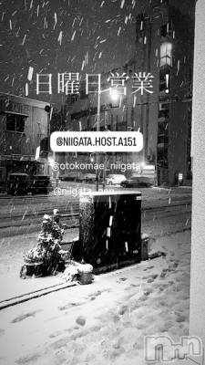 ��Į�ۥ��ȡ��ܡ������С�A151(�����������ݥ���) �褦(18)��2��8���̥�֥�������������