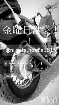 ��Į�ۥ��ȡ��ܡ������С�A151(�����������ݥ���) �褦(18)��2��13���̥�֥����ֶ�������