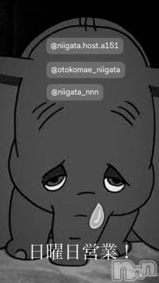 ��Į�ۥ��ȡ��ܡ������С�A151(�����������ݥ���) �褦(18)��2��15���̥�֥�������������