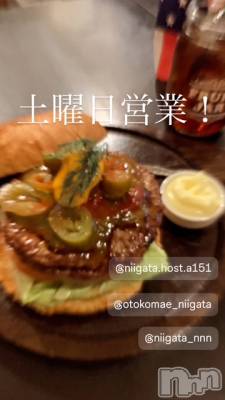 ��Į�ۥ��ȡ��ܡ������С�A151(�����������ݥ���) �褦(18)��2��21���̥�֥�������������