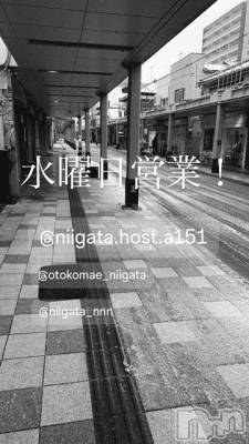 ��Į�ۥ��ȡ��ܡ������С�A151(�����������ݥ���) �褦(18)��2��25���̥�֥����ֿ�������