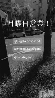 ��Į�ۥ��ȡ��ܡ������С�A151(�����������ݥ���) �褦(18)��3��2���̥�֥����ַ�������