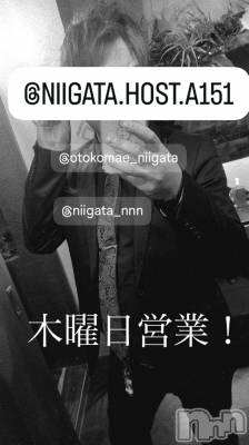 ��Į�ۥ��ȡ��ܡ������С�A151(�����������ݥ���) �褦(18)��3��5���̥�֥�������������