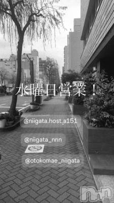 ��Į�ۥ��ȡ��ܡ������С�A151(�����������ݥ���) �褦(18)��3��25���̥�֥����ֿ�������