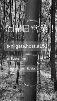 ��Į�ۥ��ȡ��ܡ������С�A151(�����������ݥ���) �褦(18)��3��27���̥�֥����ֶ�������