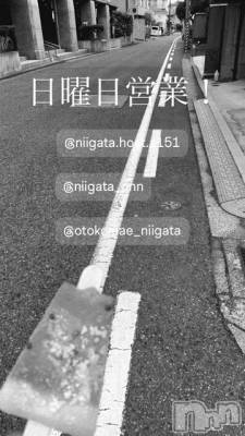 ��Į�ۥ��ȡ��ܡ������С�A151(�����������ݥ���) �褦(18)��3��29���̥�֥�������������