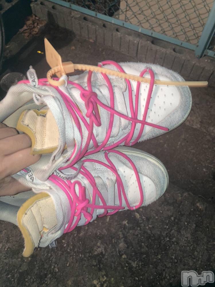 ��Į�ۥ��ȡ��ܡ������С�A151(�����������ݥ���) ��С��椦���6��25���̥�֥����������������