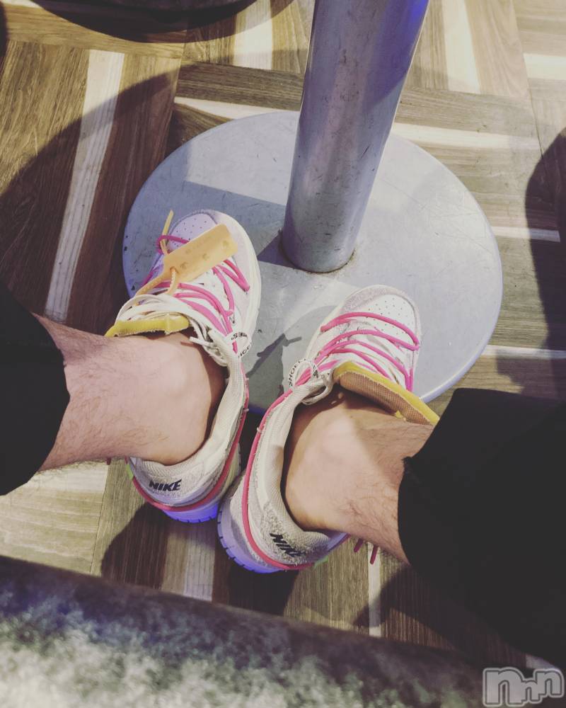 ĮۥȡܡСA151(ݥ) С椦721̥֥˱Ķȡ