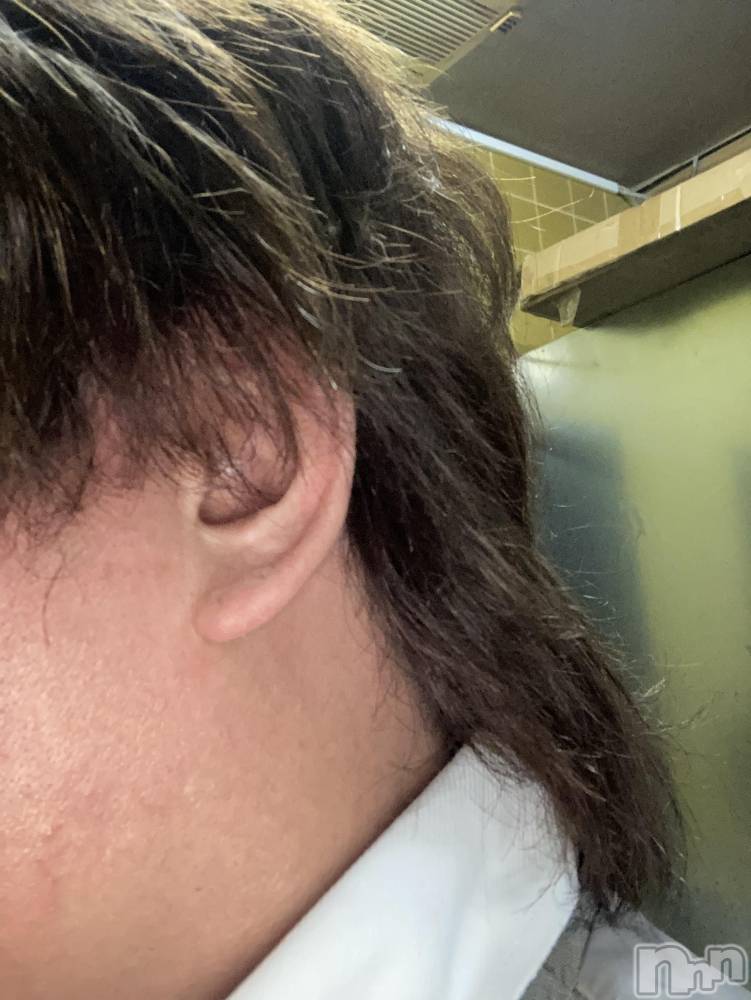 ĮۥȡܡСA151(ݥ) С椦724ֱ̥֥ĶȻϤޤޤ