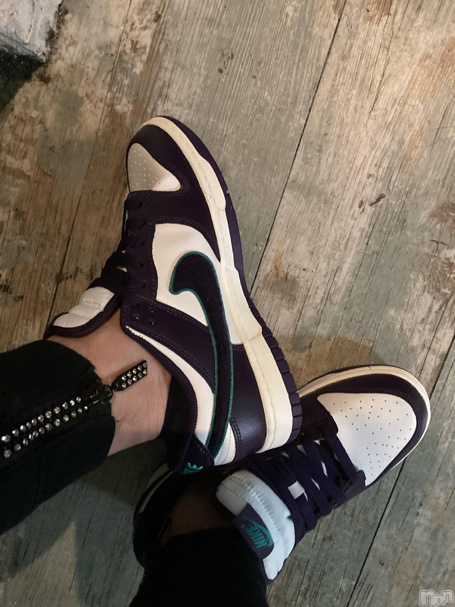 ��Į�ۥ��ȡ��ܡ������С�A151(�����������ݥ���) ��2022ǯ11��26���̥�֥����ֵ���Ū�ʥ���ǡ�