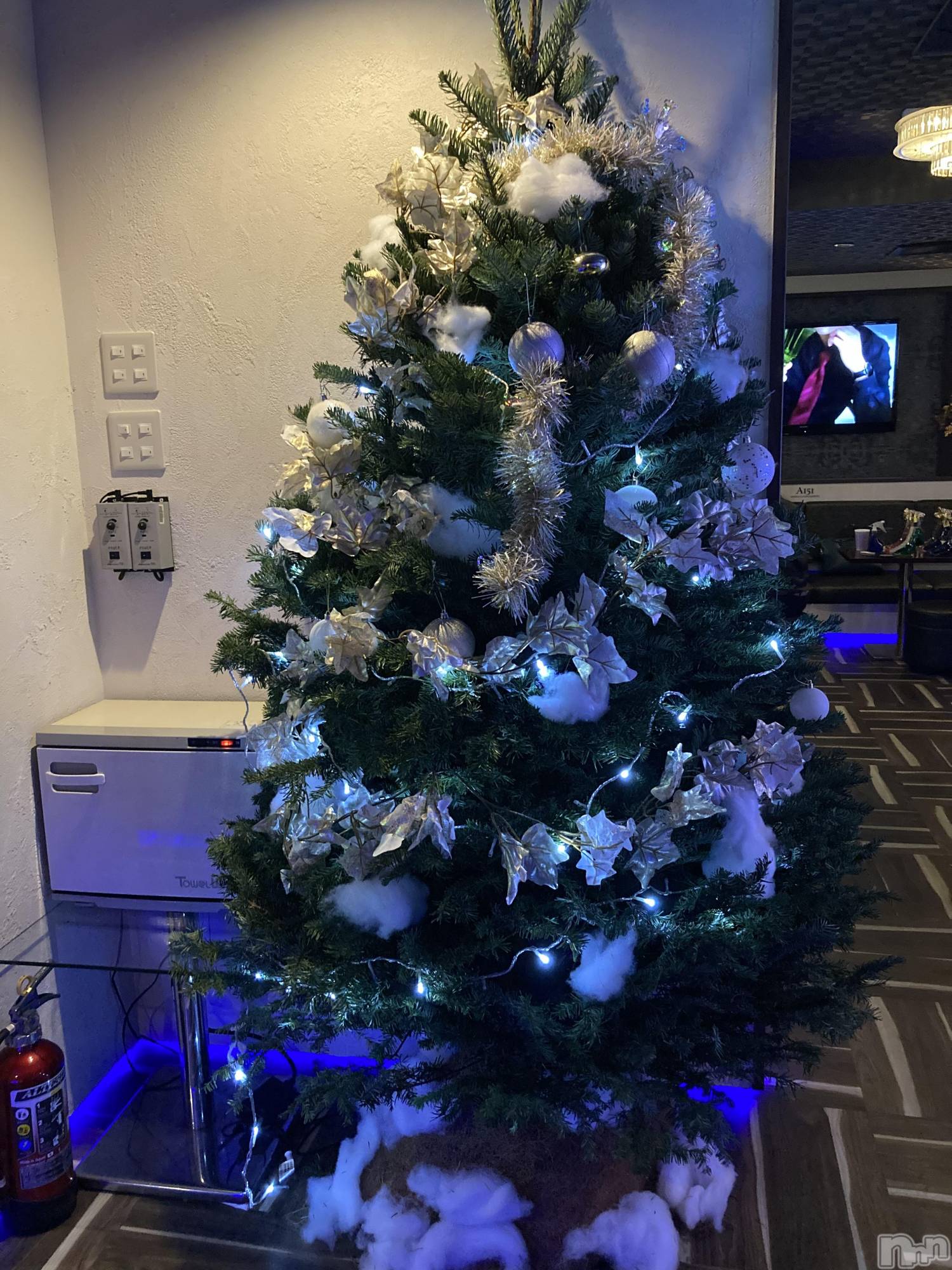 ��Į�ۥ��ȡ��ܡ������С�A151(�����������ݥ���) ��2022ǯ12��12���̥�֥�����14���ȥ��ޥС����ǡ�����