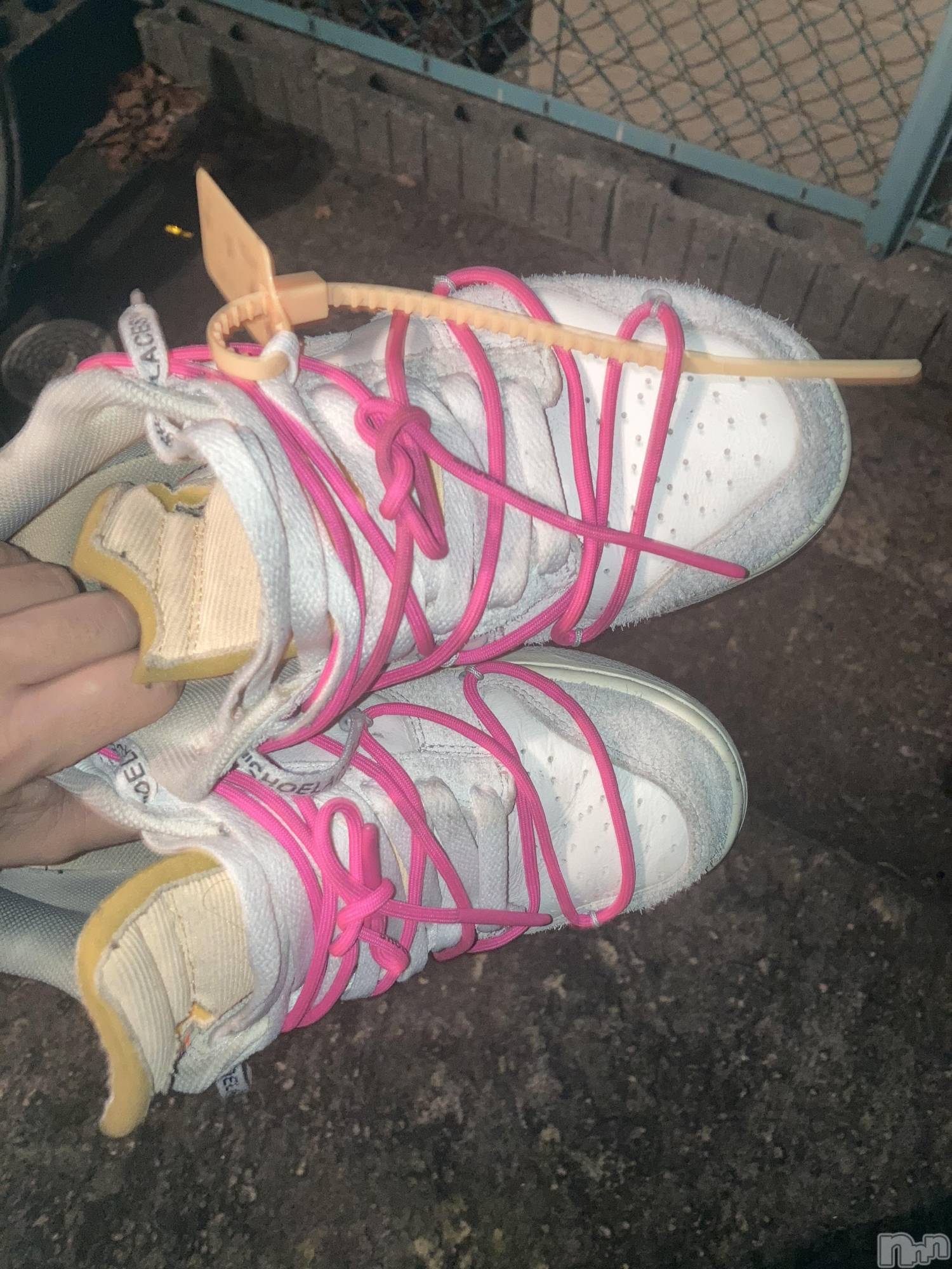 ��Į�ۥ��ȡ��ܡ������С�A151(�����������ݥ���) ��2024ǯ6��25���̥�֥����������������