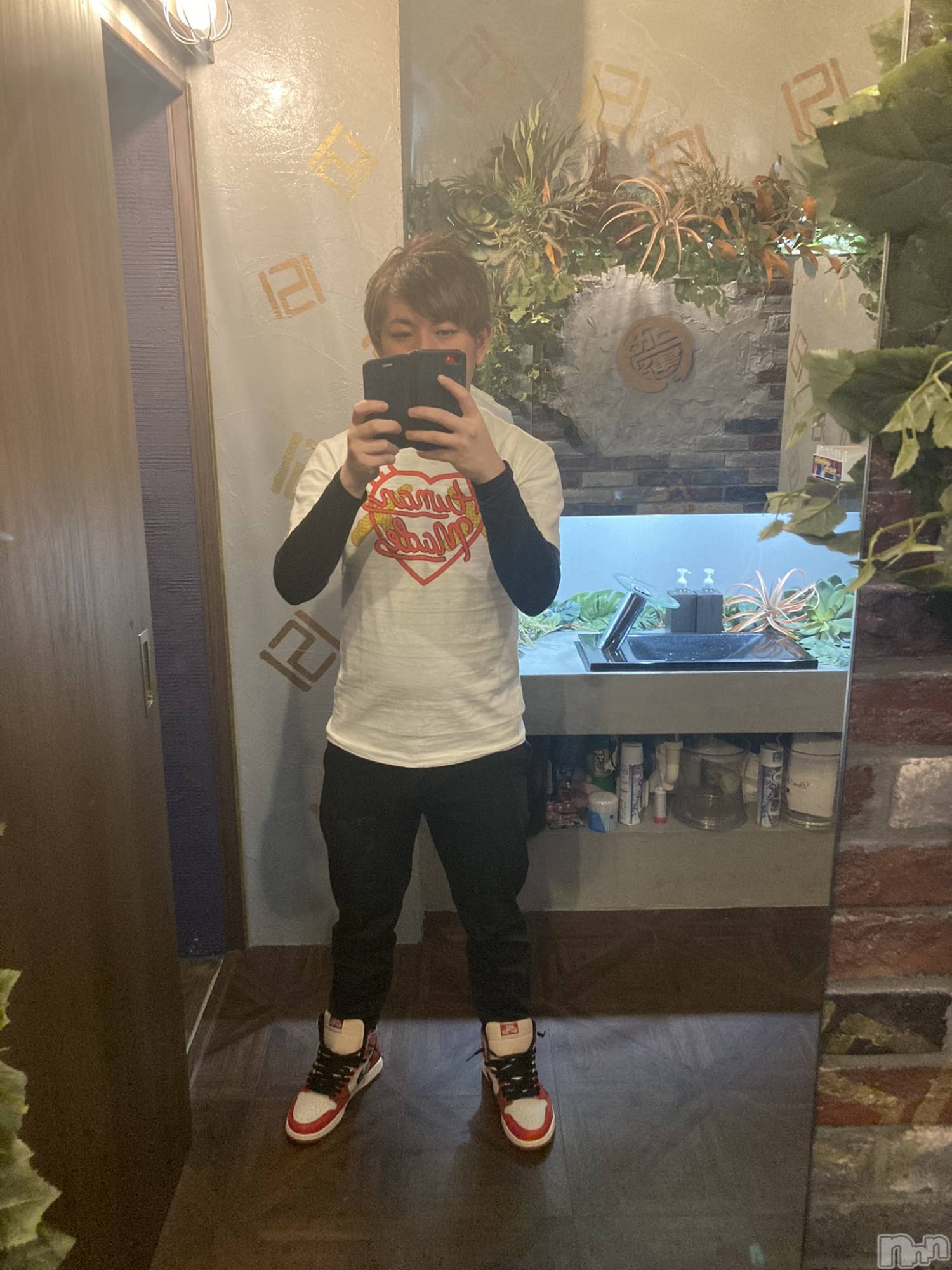 ��Į�ۥ��ȡ��ܡ������С�A151(�����������ݥ���) ��2024ǯ7��7���̥�֥��������˱Ķȡ���