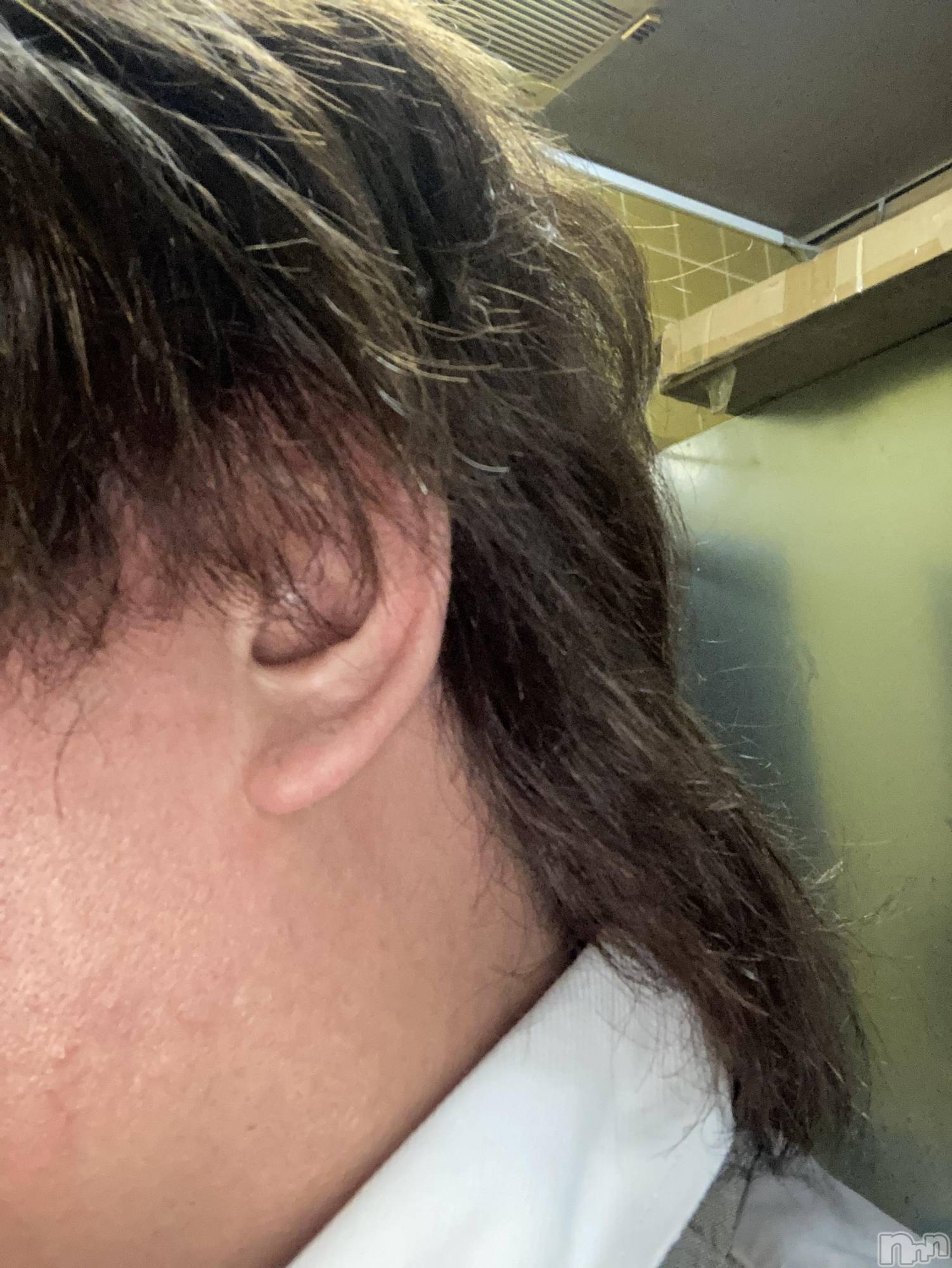 ��Į�ۥ��ȡ��ܡ������С�A151(�����������ݥ���) ��2024ǯ7��24���̥�֥����ֱĶȻϤޤ�ޤ���������