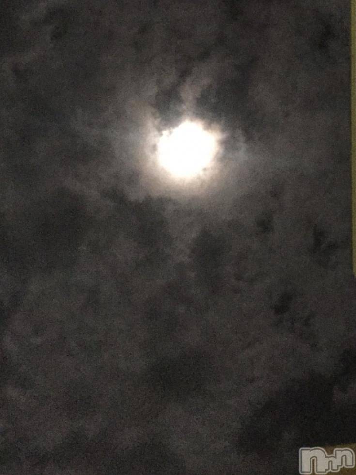 ��Į�ۥ��ȡ��ܡ������С�A151(�����������ݥ���) ��2016ǯ11��15���̥�֥����֥����ѡ��ࡼ�󡪡�